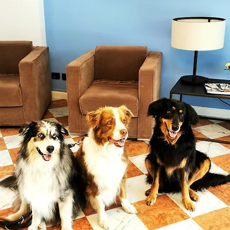 Aquazzurra & 4* Cannobio