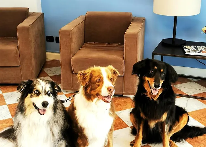 Aquazzurra & 4* カンノビオ